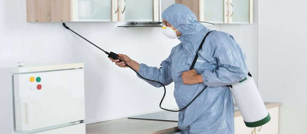 شركه مكافحه حشرات بحرض