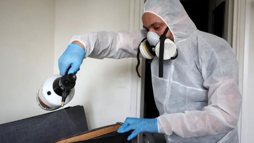 شركه مكافحه بعوض بحرض