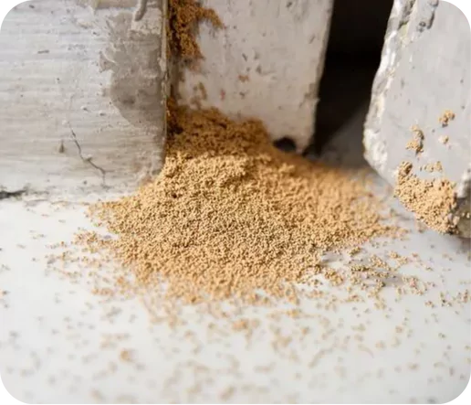 شركه مكافحه نمل ابيض بحرض