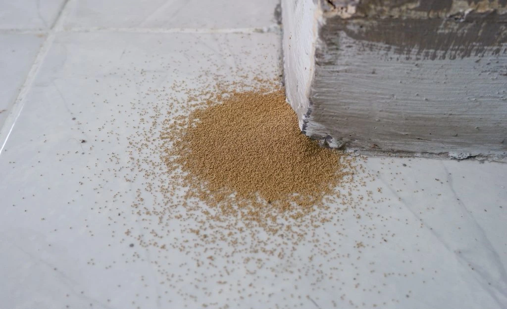 شركة مكافحة نمل ابيض بالخرج