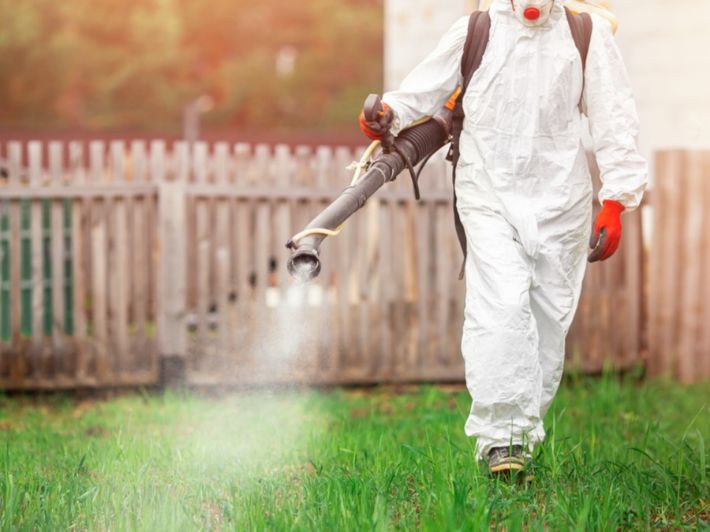 شركه مكافحه بعوض بحرض