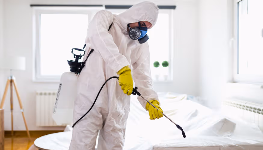 شركه مكافحه حشرات بحرض