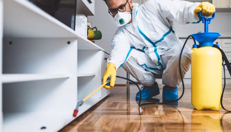 شركه رش مبيدات بحرض